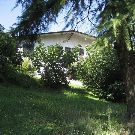 La Secchia Rapita Apartment Zappolino Exterior foto
